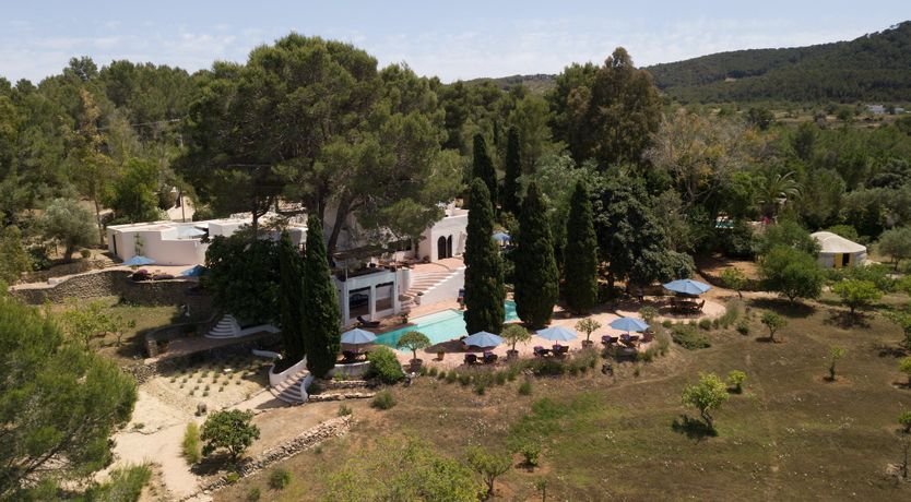 Photo of Citrus Groves