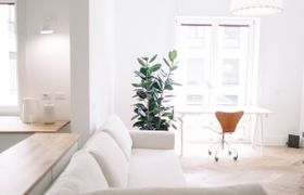 Photo of two-magnolias