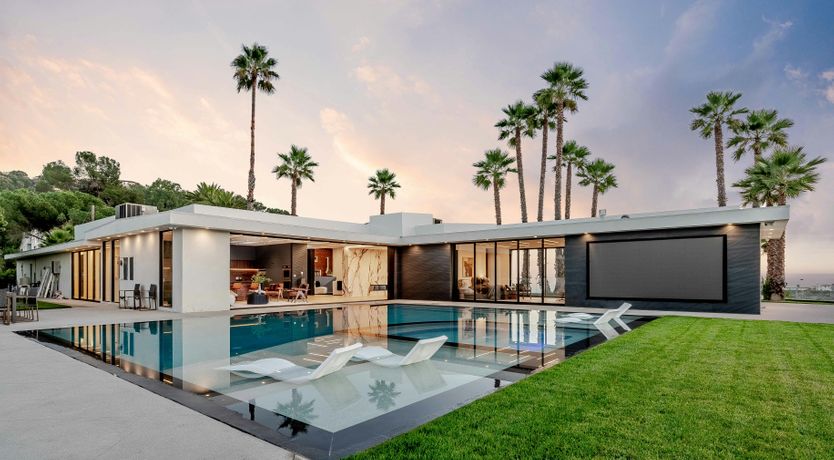 Photo of Palm Tree Daydreams