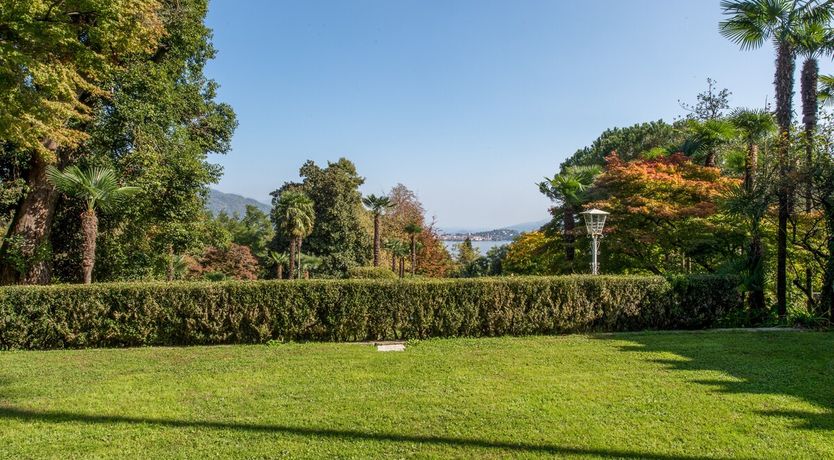 Photo of Vines Over Maggiore