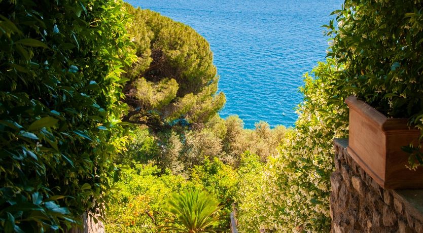 Photo of Lemons over Positano