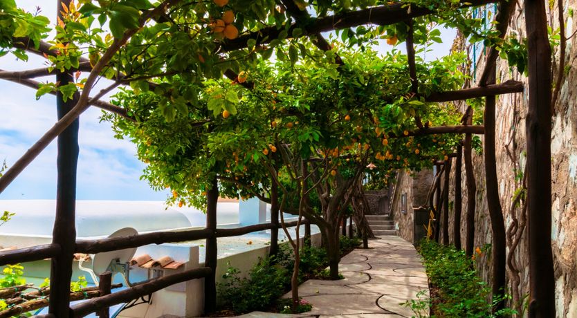 Photo of Lemons over Positano