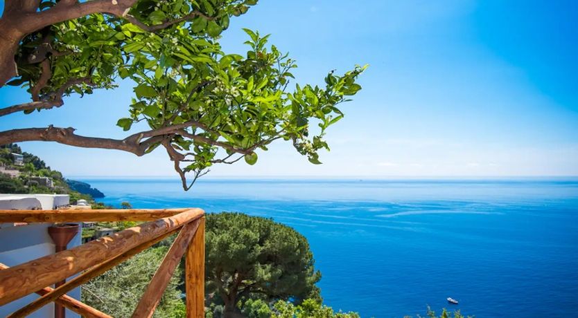 Photo of Lemons over Positano