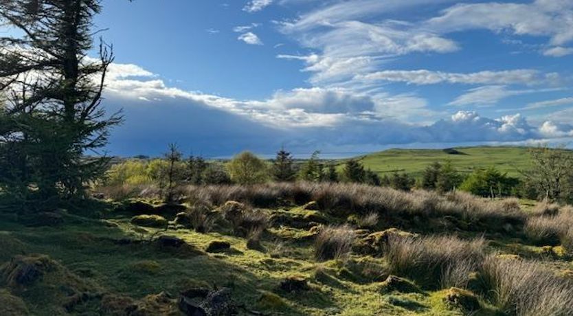 Photo of 3 Bed in Skreen