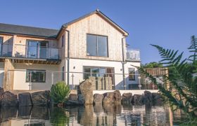 Photo of swallows-dip