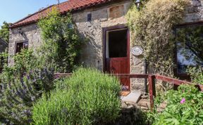 Photo of Wildflower Cottage