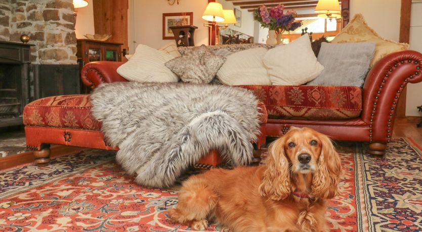 Photo of South Honeycroft Thatch