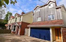 Photo of fig-tree-house