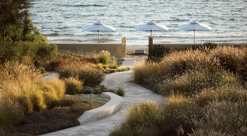 Photo of From Pool to Shore