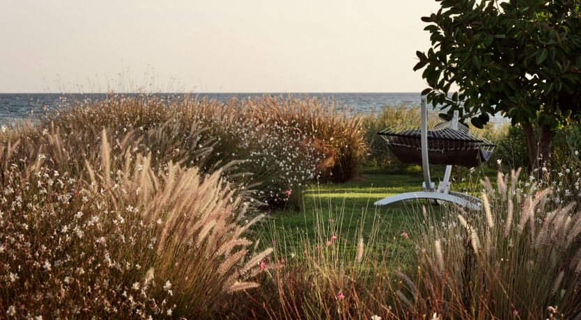 Photo of Zephyr Vista