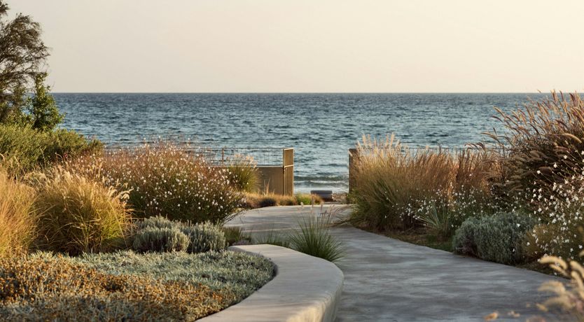 Photo of Zephyr Vista
