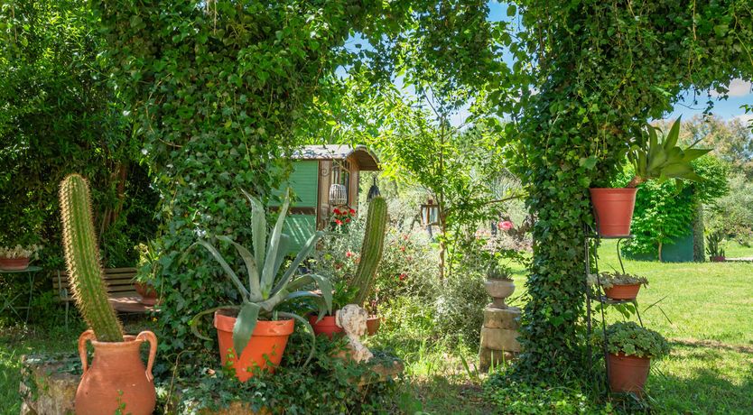 Photo of Allure of Arles