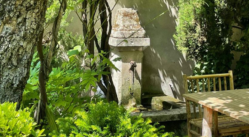 Photo of Provence Sunshine