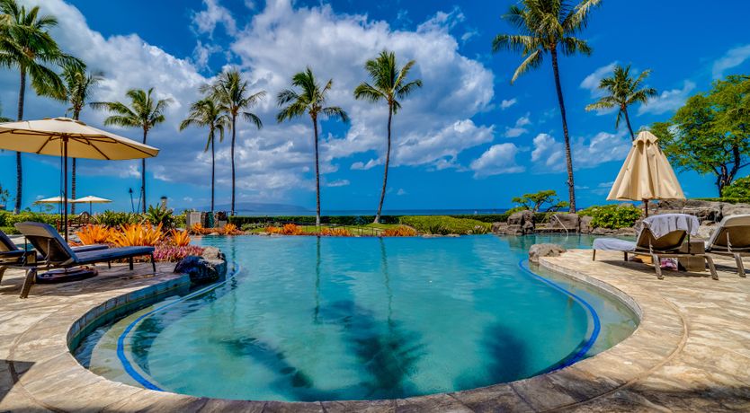 Photo of Salt & Palms