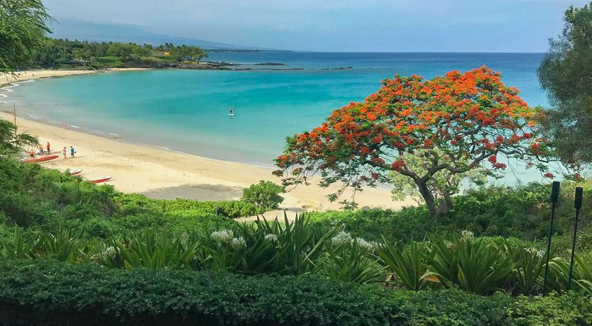 Photo of Doors to the Tropics