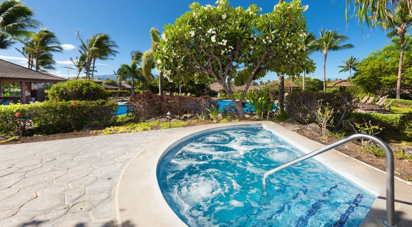 Photo of Doors to the Tropics