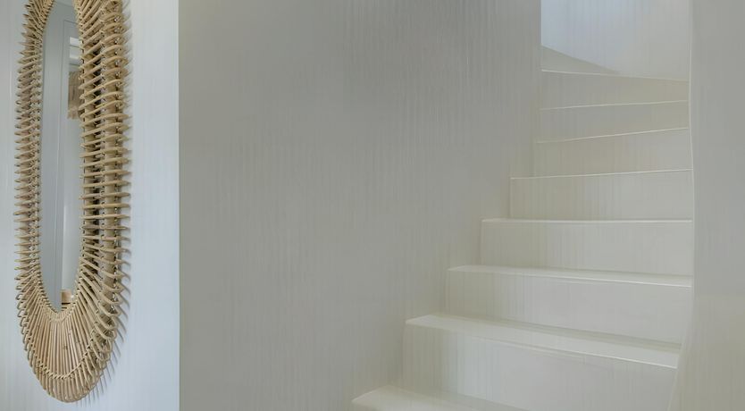 Photo of The Cicada's Song