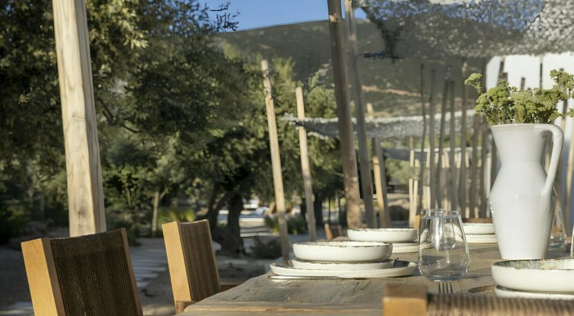 Photo of The Cicada's Song