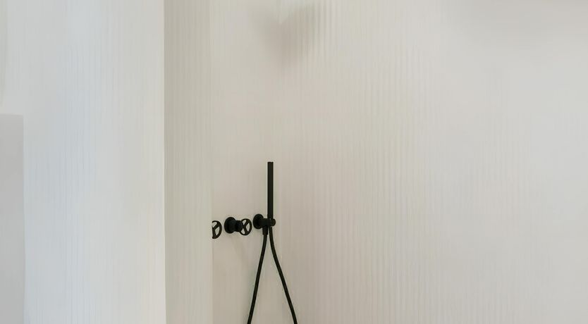 Photo of The Cicada's Song