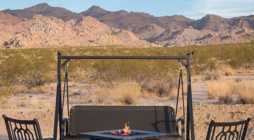 Photo of Lady of The Lemons