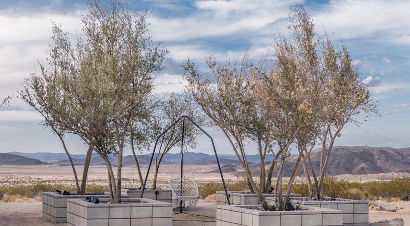 Photo of Lady of The Lemons