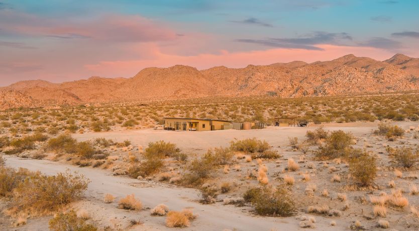 Photo of Lady of The Lemons