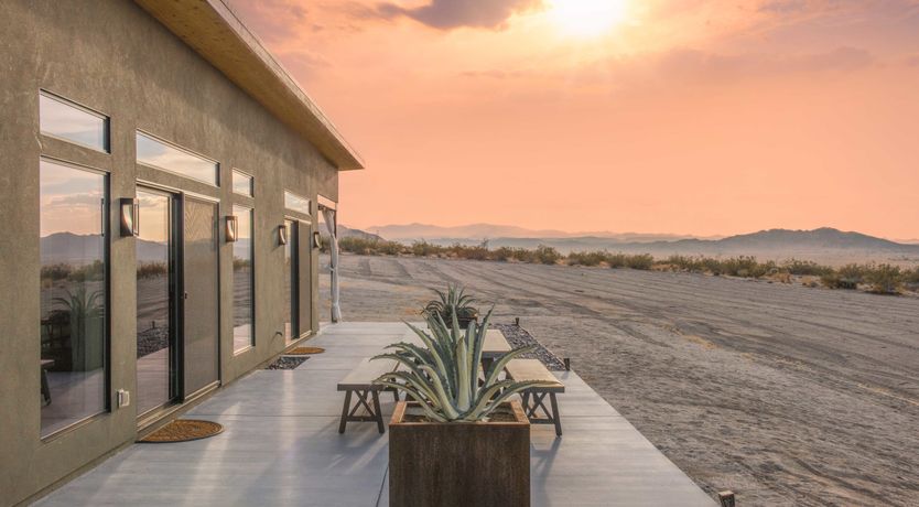 Photo of Lady of The Lemons