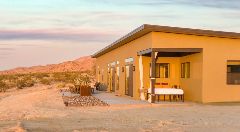 Photo of Lady of The Lemons