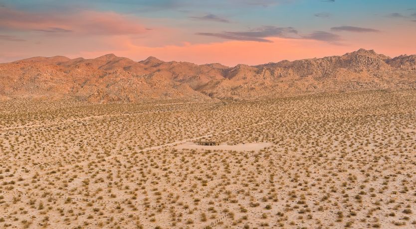 Photo of Lady of The Lemons