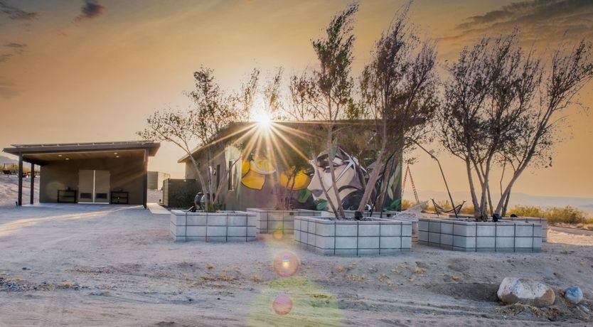 Photo of Lady of The Lemons