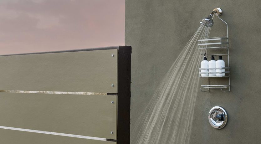 Photo of Lady of The Lemons