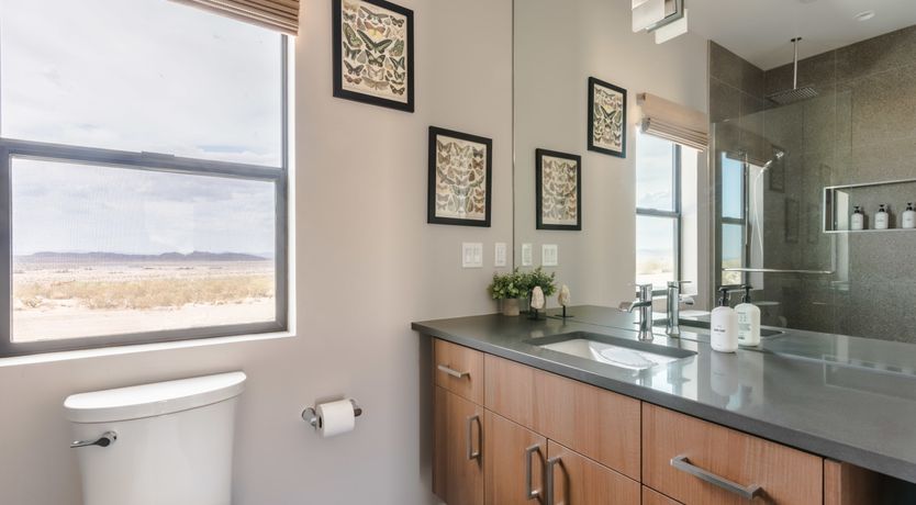 Photo of Lady of The Lemons