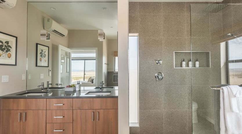 Photo of Lady of The Lemons