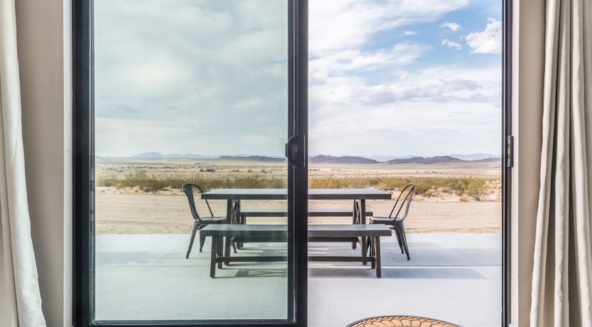 Photo of Lady of The Lemons