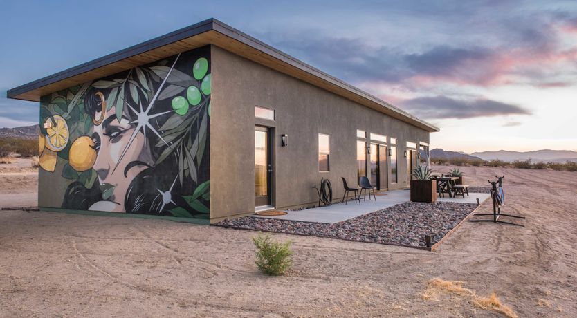 Photo of Lady of The Lemons