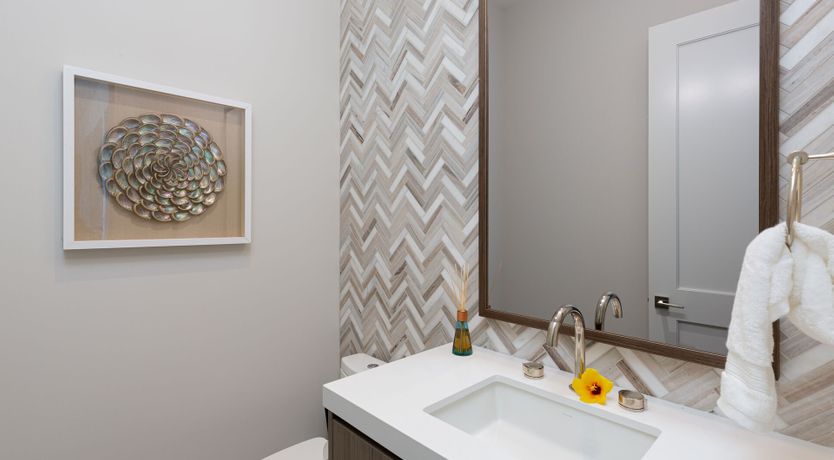 Photo of Orchid Hues