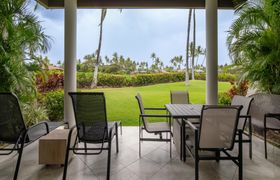 Photo of palm-trees-lawns