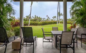 Photo of Palm Trees & Lawns