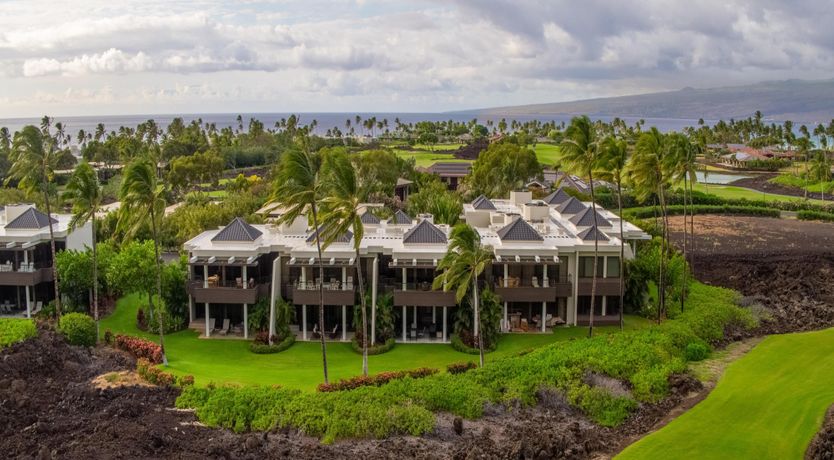 Photo of Palm Trees & Lawns