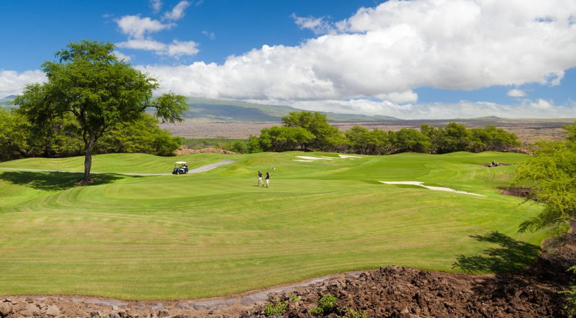 Photo of Hawaiian Heat