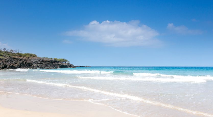 Photo of An Island Eden