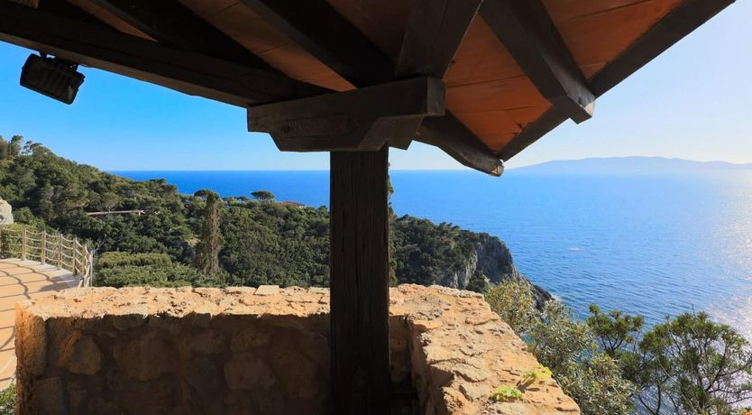 Photo of Tumbled Wood