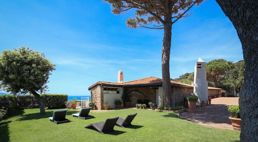 Photo of Tumbled Wood