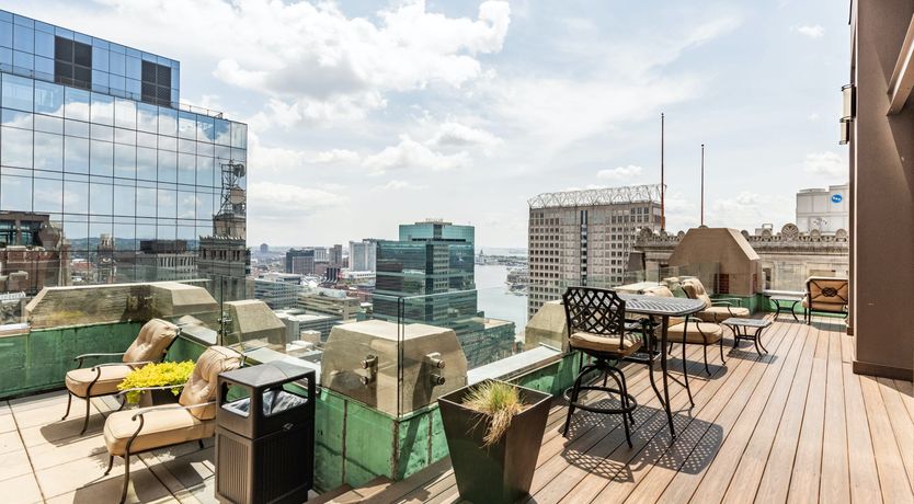 Photo of Baltimore Beauty