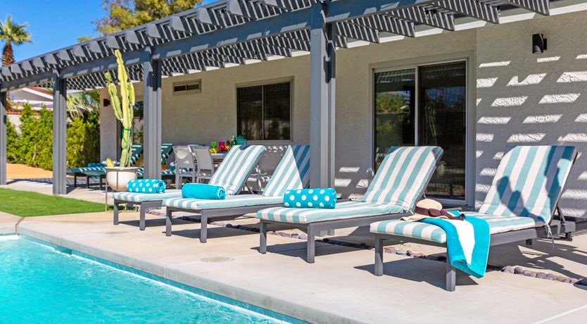 Photo of Palm Tree Visions