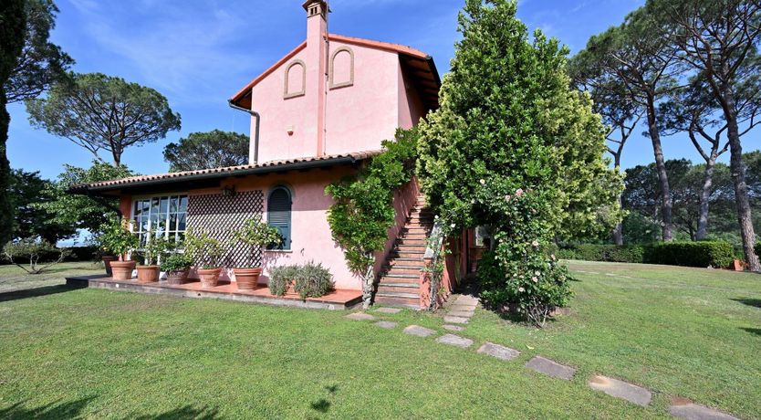 Photo of The Tuscan Pine