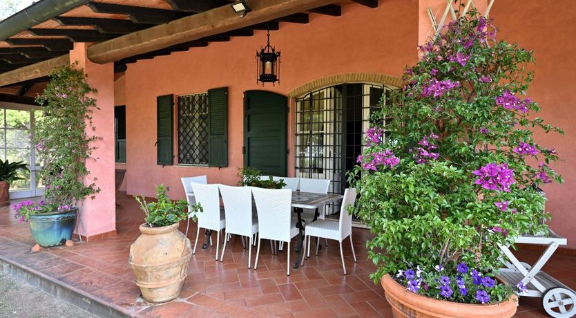 Photo of The Tuscan Pine