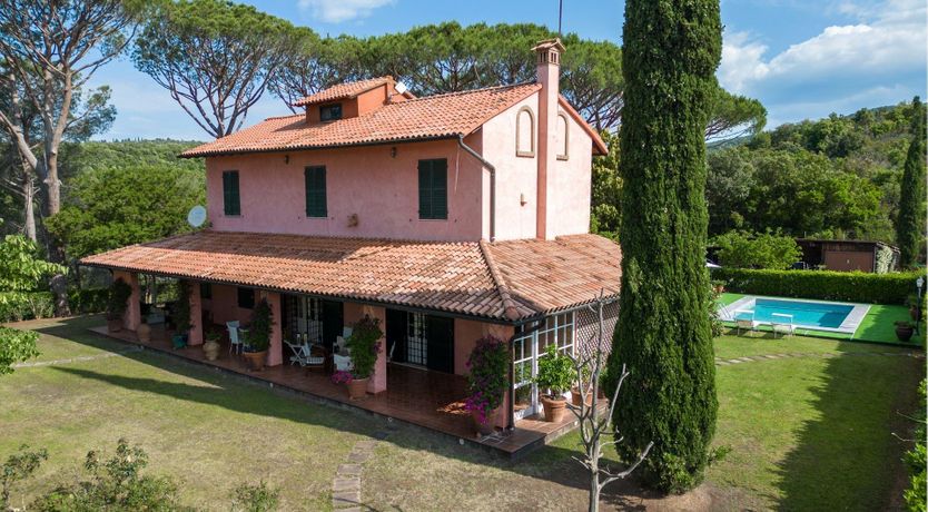 Photo of The Tuscan Pine