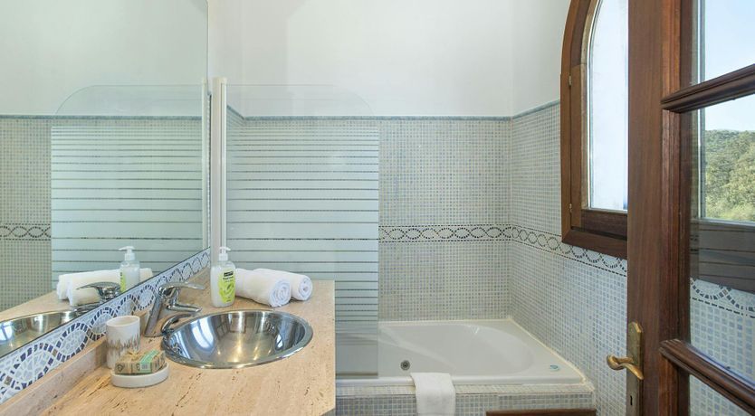 Photo of Olives and Palms