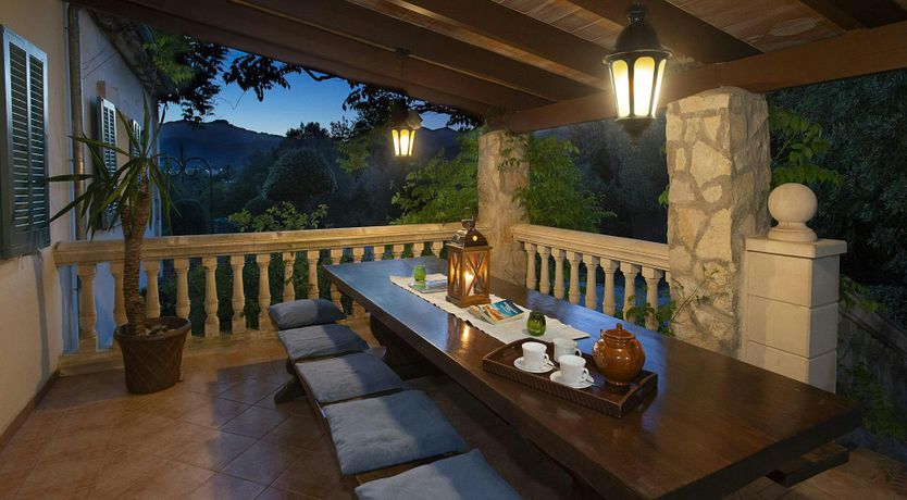 Photo of Olives and Palms